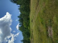 Nekretnina: TARA plac 70a sa izvorom, vlasnik