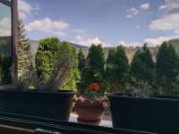 Nekretnina: Apartman Mokra Gora, stan, vlasnik