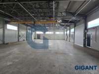 Nekretnina: CUKARICA Obrenovački drum ID: 892321513