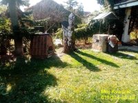 Nekretnina: Barajevo, Beli labud - Hrastova, 124m2