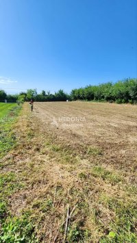 Nekretnina: Mladenovac selo, plac, 13.5 ari, uknjižen ID#10353