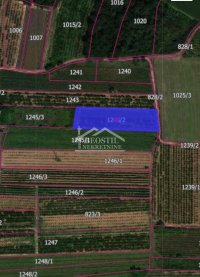 Nekretnina: Smederevo - Landol - 30,43ara ID#23819