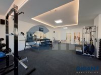 Nekretnina: ZVEZDARA Ravanička ID: 890381636