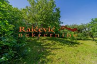 Nekretnina: VOZDOVAC Bulevar patrijarha Germana ID: 91763