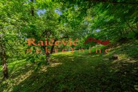 Nekretnina: VOZDOVAC Bulevar patrijarha Germana ID: 91763