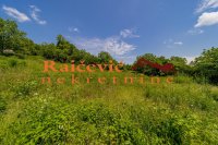 Nekretnina: VOZDOVAC Bulevar JNA ID: 92771