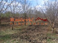 Nekretnina: PALILULA Borca ID: 92811