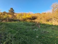 Nekretnina: Ležimir- Fruška Gora -zemljište u građevinskom području ID#7082