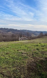 Nekretnina: Grocka - Zaklopača - 53ara ID#24814