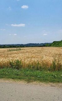 Nekretnina: Njiva Barajevo-Veliki Borak