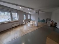 Nekretnina: Lux poslovni prostor 254 m² sa 4 garažna mesta u širem centru ID#1746
