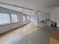 Nekretnina: Lux poslovni prostor 254 m² sa 4 garažna mesta u širem centru ID#1746