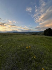 Nekretnina: Prodajem Plac u selu Ljutice -Tometino Polje