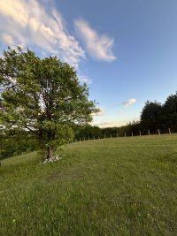 Nekretnina: Prodajem Plac u selu Ljutice -Tometino Polje