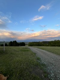 Nekretnina: Prodajem Plac u selu Ljutice -Tometino Polje