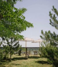 Nekretnina: Nezaboravan plac sa pogledom na Dunav ID#4401