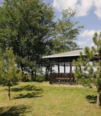 Nekretnina: Nezaboravan plac sa pogledom na Dunav ID#4401