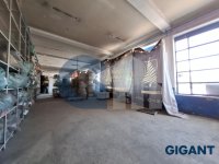 Nekretnina: ZVEZDARA Miloša Savkovića ID: 94116531