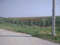 Nekretnina: PALILULA Vajfertova - Ovča ID: 855772331