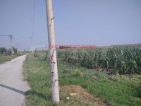 Nekretnina: PALILULA Vajfertova - Ovča ID: 855772331