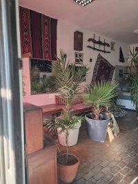 Nekretnina: Lokal u centru Boleča ID#1599