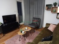 Nekretnina: 2-soban, 35m2, Liman 4 - Telep, Sime Matavulja ID#1748