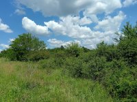 Nekretnina: Plac u Šiljakovcu kod Barajeva