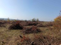 Nekretnina: Plac u Šiljakovcu kod Barajeva