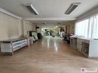 Nekretnina: Rakovica, Stari Košutnjak, Pere Velimirovića, 600m2