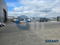 Nekretnina: SURCIN Mala pustara ID: 891131715