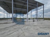 Nekretnina: SURCIN Mala pustara ID: 891131715