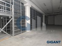 Nekretnina: PALILULA Pančevački put ID: 9631430