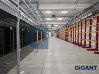 Nekretnina: PALILULA Pančevački put ID: 9631430