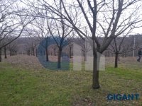 Nekretnina: ZVEZDARA Stanojeva livada ID: 9609981