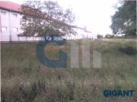 Nekretnina: PALILULA Zage Malivuk-Krnjača ID: 837292709