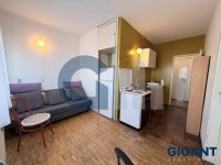 Nekretnina: OPŠTINA NOVI BEOGRAD Bulevar Mihaila Pupina ID: 9626336