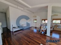 Nekretnina: VOZDOVAC Gospodara Vučića ID: 93751690