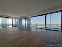 Nekretnina: SAVSKI VENAC Hercegovačka-Savski venac ID: 94206454