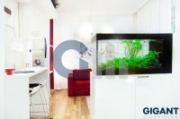 Nekretnina: STARI GRAD Dobrinjska ID: 720564485