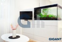 Nekretnina: STARI GRAD Dobrinjska ID: 720564485