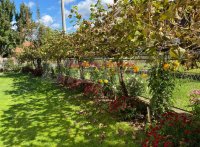 Nekretnina: OKOLNO MESTO-VRNJAEKA BANJA Mileševska-Lipova ID: 856942414