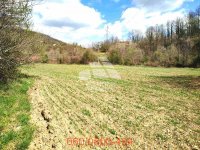 Nekretnina: Plac od 17 ari, Kadina Luka/Ljig ID#3690