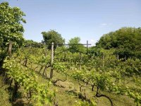 Nekretnina: Vikendica u Berkasovu ID#7189