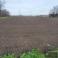 Nekretnina: Plac 37 a u Čeneju, Novi Sad