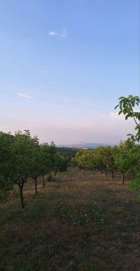 Nekretnina: Prodajem plac-zemlju LUX zona