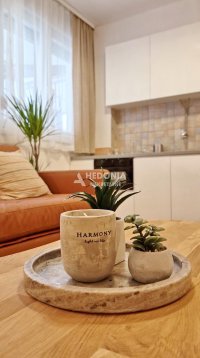 Nekretnina: Profesorska kolonija, izdavanje, 1.5, lux, namešten ID#10460