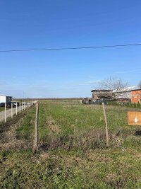 Nekretnina: Prodaje se plac u Temerinu