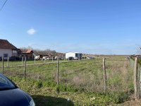 Nekretnina: Prodaje se plac u Temerinu