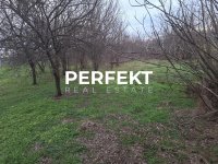 Nekretnina: Vojlovica, plac 22,91 ari