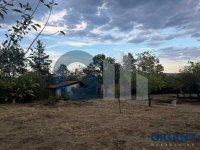 Nekretnina: MLADENOVAC Ravanička-Amerić ID: 904641413